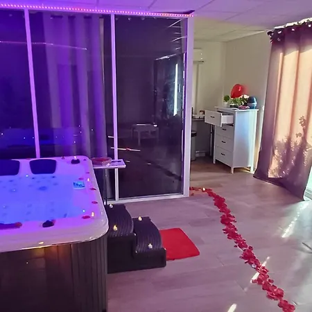 Apartment Cocoonspa Jacuzzi Privatif Toulouse